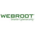 Webroot SecureAnywhere Business, Endpoint Protection Volume License (VL) 1 лицензия(и) 2 лет Webroot SecureAnywhere Business, Endpoint Protection Volume License (VL) 1 лицензия(и) 2 лет