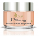 Ava Laboratorium C+ Strategy night face cream Pro-intensive nourishment 50ml Ava Laboratorium C+ Strategy night face cream Pro-intensive nourishment 50ml