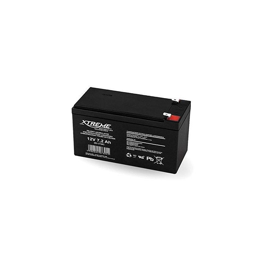 BLOW 82-319 XTREME Rechargeable battery 12V