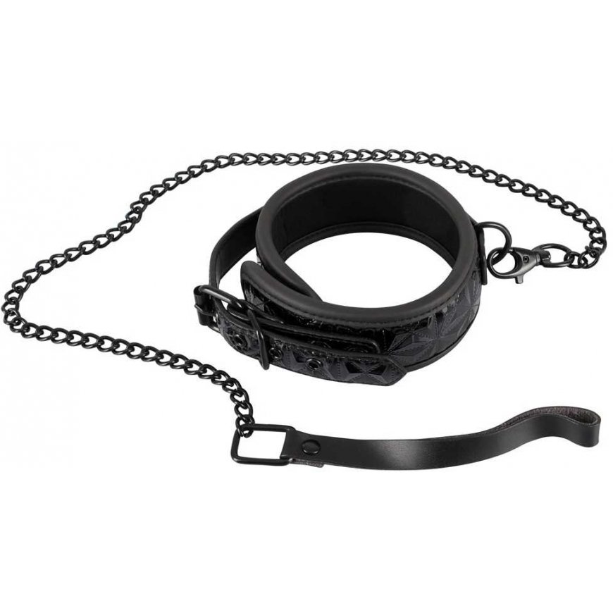 Orion 2491974 Collar with leash – 2