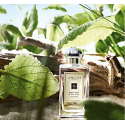 Jo Malone Wood Sage & Sea Salt EDC cologne Unisex, 30 ml