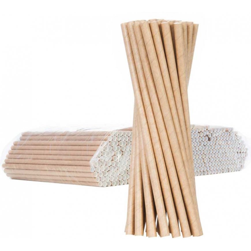 Gsg24 BIO organic paper straws PAPER STRAWS thickness 8/205mm - brown 500 pcs.