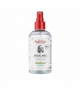 "Thayers" veido dulksna "Agurkas" 237ml
