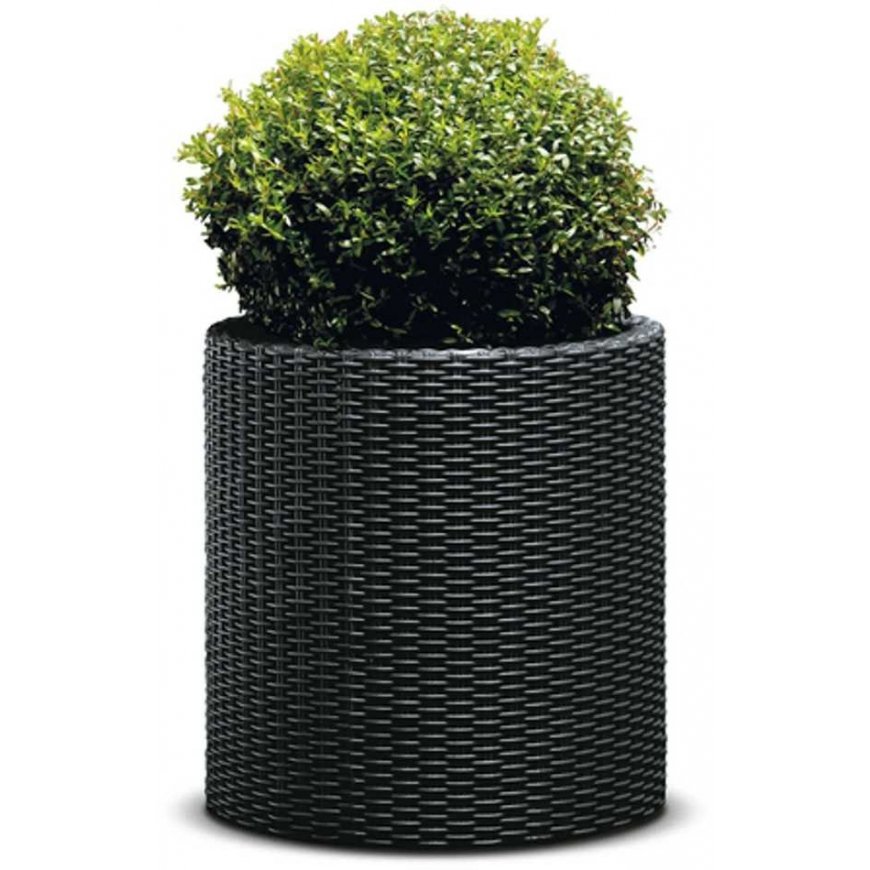 Keter Round Planter Rattan Style - Size M - 36 cm Diameter Anthracite Cylinder Flower Pot Indoor Outdoor Weatherproof – 3