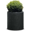 Keter Round Planter Rattan Style - Size M - 36 cm Diameter Anthracite Cylinder Flower Pot Indoor Outdoor Weatherproof Keter Round Planter Rattan Style - Size M - 36 cm Diameter Anthracite Cylinder Flower Pot Indoor Outdoor Weatherproof