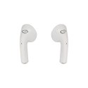 Esperanza EH237W Bluetooth In-Ear Headphone TWS Black Esperanza EH237W Bluetooth In-Ear Headphone TWS Black