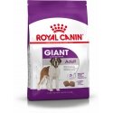 Royal Canin Giant Adult 15 kg Suaugusių Royal Canin Giant Adult 15 kg Suaugusių