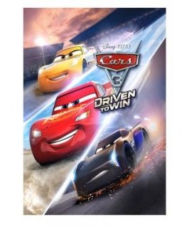 Warner Bros Cars 3: Driven to Win Стандартная PlayStation 4