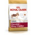 Royal Canin Cavalier King Charles Adult 1.5 kg Royal Canin Cavalier King Charles Adult 1.5 kg