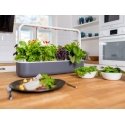 Click & Grow Smart Garden 9 home garden White