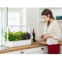 Click & Grow Smart Garden 9 home garden White