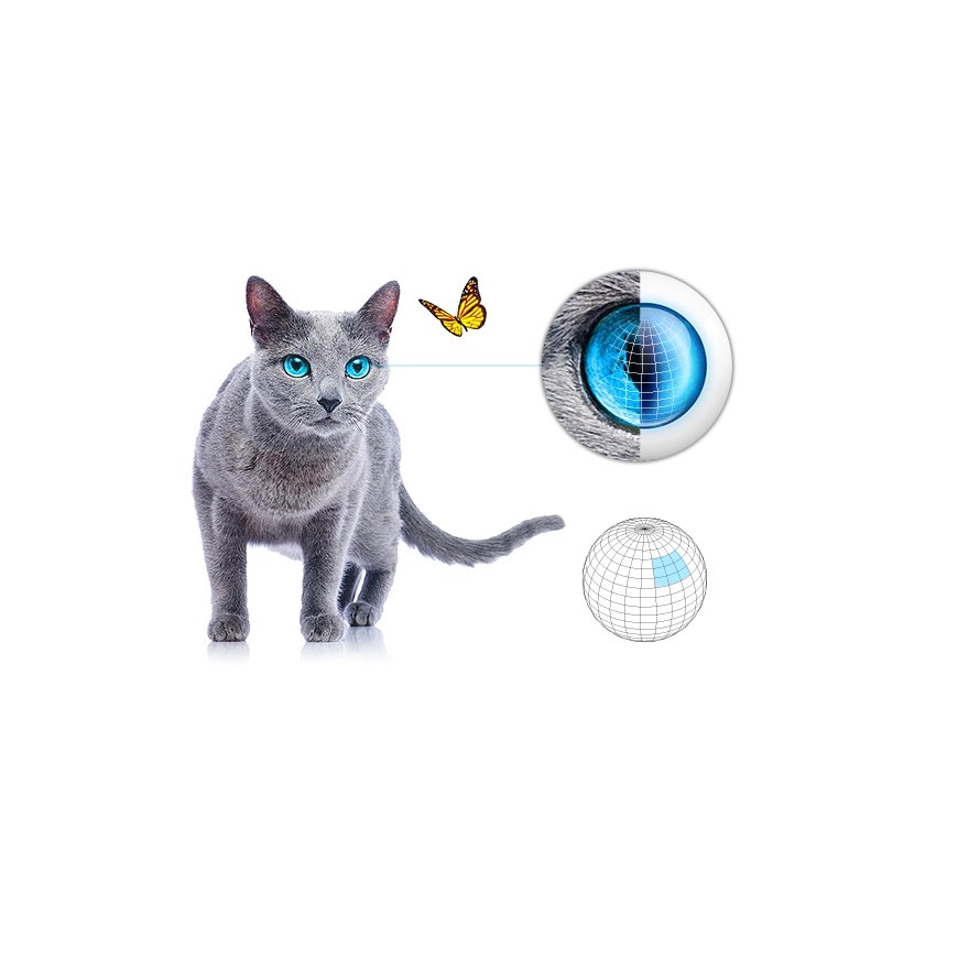 Fibaro FGMS-001 kustības detektors Bezvadu Balts – 2