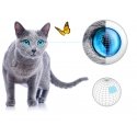 Fibaro FGMS-001 kustības detektors Bezvadu Balts