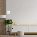 Spring Single-pole sensor switch, remote control (WIFI), White Spring Single-pole sensor switch, remote control (WIFI), White