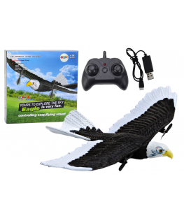 Lean Eagle Bird Remote Controlled RC Plane 2.4G 41cm x 28cm x 5cm