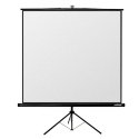 Reflecta CrystalLine Tripod projection screen 1:1 Reflecta CrystalLine Tripod projection screen 1:1