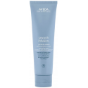 Aveda Smooth Infusion Perfectly Sleek Heat Styling kreminis glotninamasis plaukų formavimo kremas 150 ml Aveda Smooth Infusion Perfectly Sleek Heat Styling kreminis glotninamasis plaukų formavimo kremas 150 ml