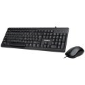 Gigabyte KM6300 keyboard Mouse included USB Black Gigabyte KM6300 keyboard Mouse included USB Black