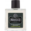 Proraso Cypress & Vetyver Beard Balm Barzdos balzamas, 100 ml Proraso Cypress & Vetyver Beard Balm Barzdos balzamas, 100 ml
