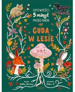 BOOK Harper Collins Książeczka cuda w lesie. opowieści 5 minut przed snem