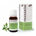 Pranarom Essential Oil Ravintsara 10ml Pranarom Essential Oil Ravintsara 10ml