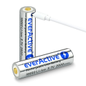 Battery everActive 18650 3.7V Li-ion 2600mAh micro USB with protection BOX Battery everActive 18650 3.7V Li-ion 2600mAh micro USB with protection BOX