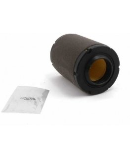 Air filter MTD 737-05129A