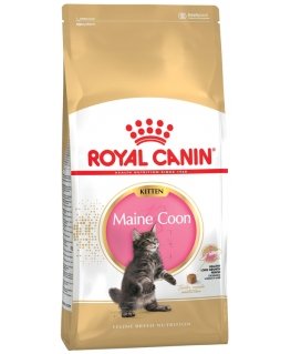 Royal Canin Maine Coon Kitten kuivtoit kassile 2 kg Kassipoeg Linnuliha