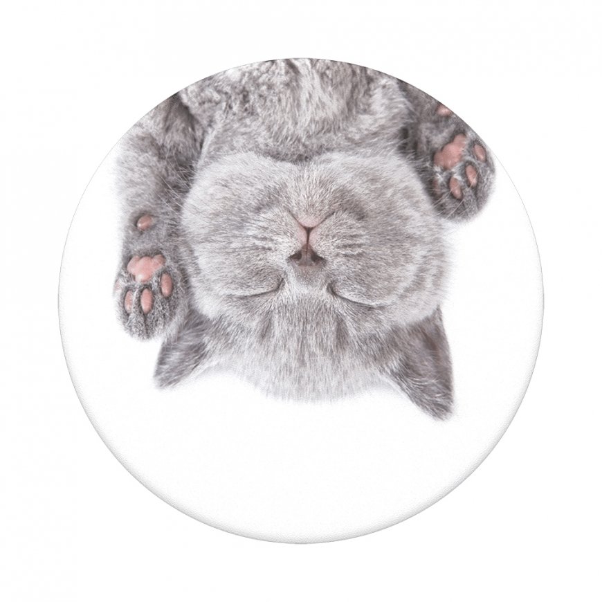 PopSockets 800947 подставка / держатель Ручка Серый