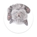 PopSockets 800947 teline/pidike Kahva Harmaa PopSockets 800947 teline/pidike Kahva Harmaa