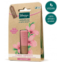 Kneipp Sensitive Care Lip balm 1U