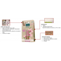 Kneipp Sensitive Care Lūpų balzamas 1U Kneipp Sensitive Care Lūpų balzamas 1U