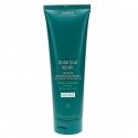 Hair mask Aveda Botanical Repair Intensive Strengthening Masque Light" 350ml Hair mask Aveda Botanical Repair Intensive Strengthening Masque Light" 350ml