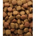 Versele-Laga Duo Krok 20 kg Senior Versele-Laga Duo Krok 20 kg Senior