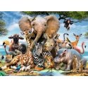 Ravensburger African Friends Kuviopalapeli 300 kpl Eläimet Ravensburger African Friends Kuviopalapeli 300 kpl Eläimet