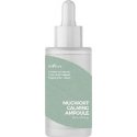 Isntree Mugwort Calming Ampoule - Soothing serum Isntree Mugwort Calming Ampoule - Soothing serum