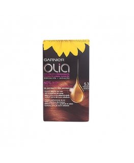Garnier Olia Permanent Coloring 5.3 Cappuccino