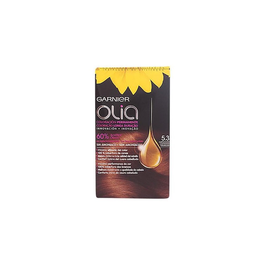Garnier Olia Permanent Coloring 5,3 Capuccino