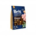 Brit 8595602526369 dogs dry food Adult Chicken