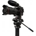 Benro A48F monopod + S4PRO galvutė