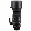 Sigma 150-600mm F5-6.3 DG DN OS | S MILC (Peeglita vahetatavate objektiividega kaamera) Telefoto suu Sigma 150-600mm F5-6.3 DG DN OS | S MILC (Peeglita vahetatavate objektiividega kaamera) Telefoto suu
