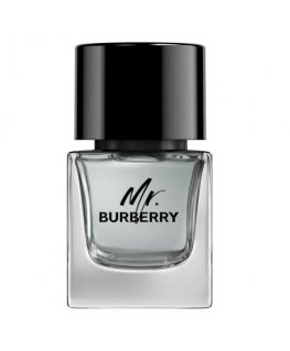 Mr. Burberry eau de toilette spray 50 ml