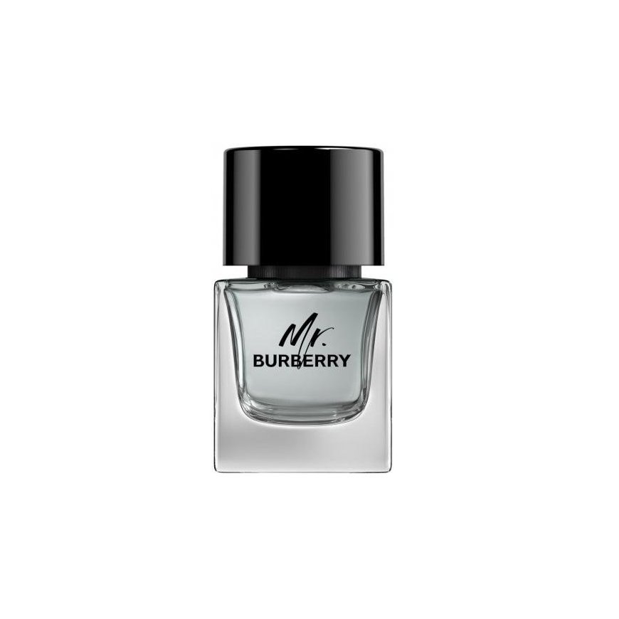 Burberry Mr. Burberry eau de toilette