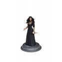 Dark Horse The Witcher (Netflix) Yennefer Statue | 22 cm Dark Horse The Witcher (Netflix) Yennefer Statue | 22 cm