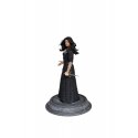 Dark Horse The Witcher (Netflix) Yennefer Statue | 22 cm Dark Horse The Witcher (Netflix) Yennefer Statue | 22 cm