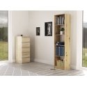 Topeshop R50 ARTISAN офисный книжный шкаф