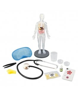 Buki Human Body