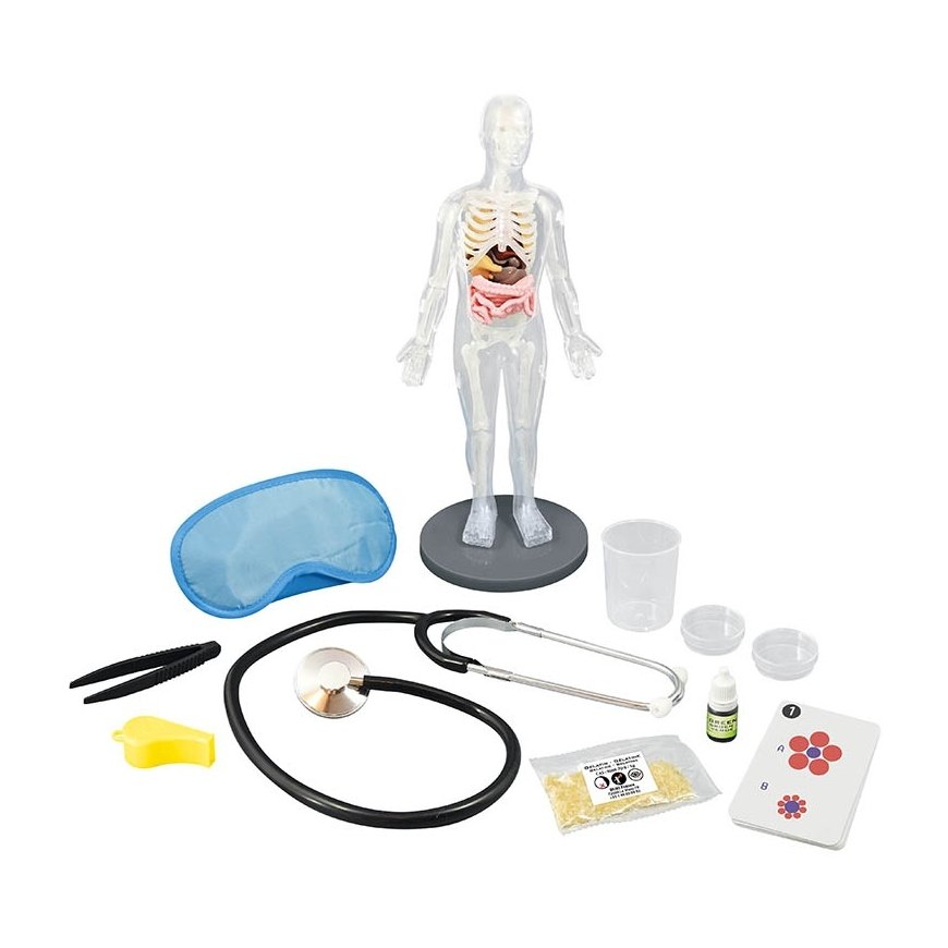 Buki Human Body