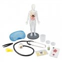 Buki Human Body