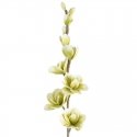 Eurofirany KW/FLORE/713/SEE SOUL Eurofirany KW/FLORE/713/SEE SOUL